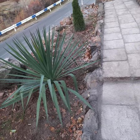 Byurakan Green World מראה חיצוני תמונה